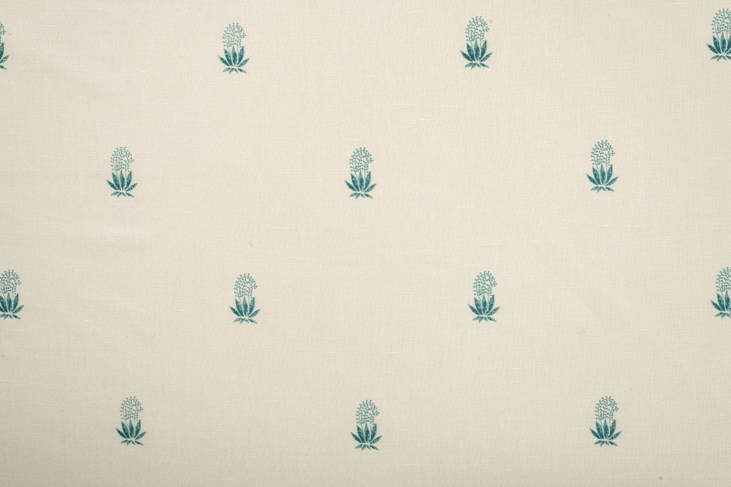 Fern in Teal