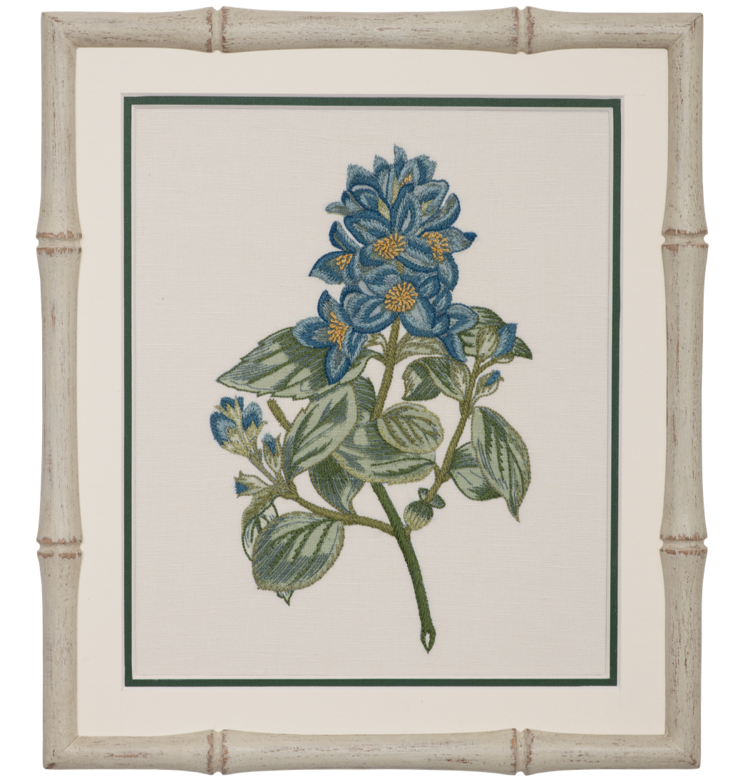 Geranium in Blue