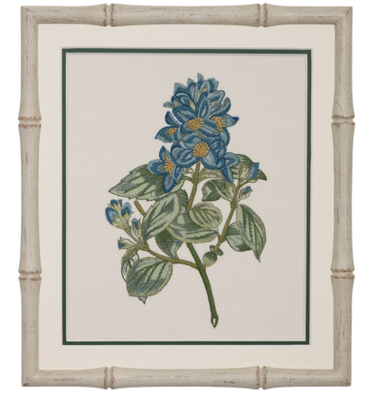 Geranium in Blue